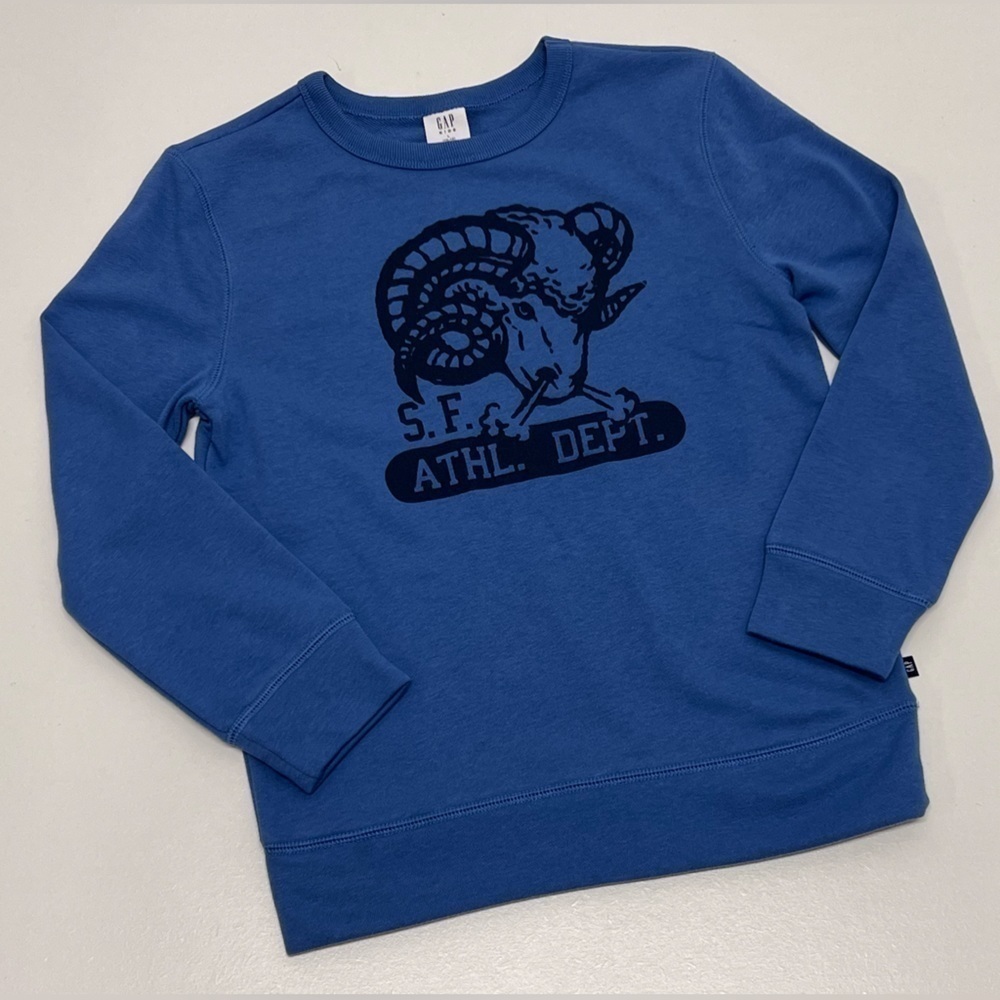 Gap - Boy's Terry Lined Graphic Print
Crewneck Pullover Sweatshirt